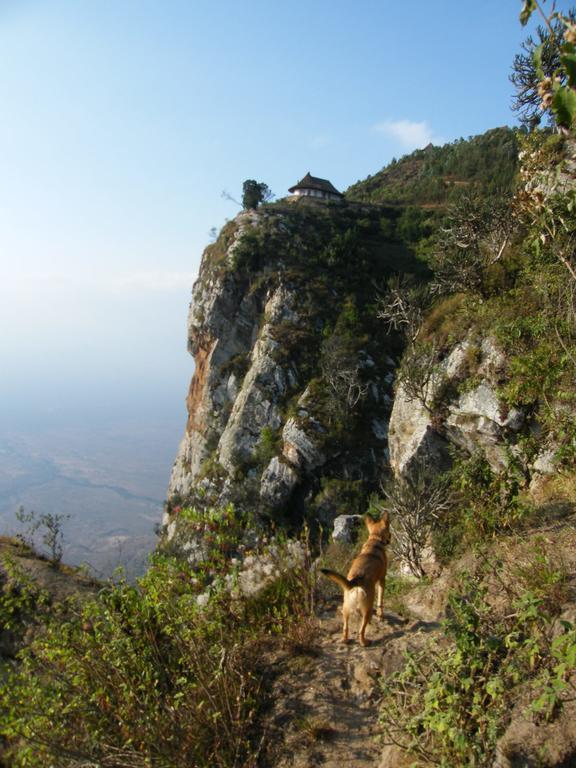 הוילה Ndungu Mambo View Point מראה חיצוני תמונה